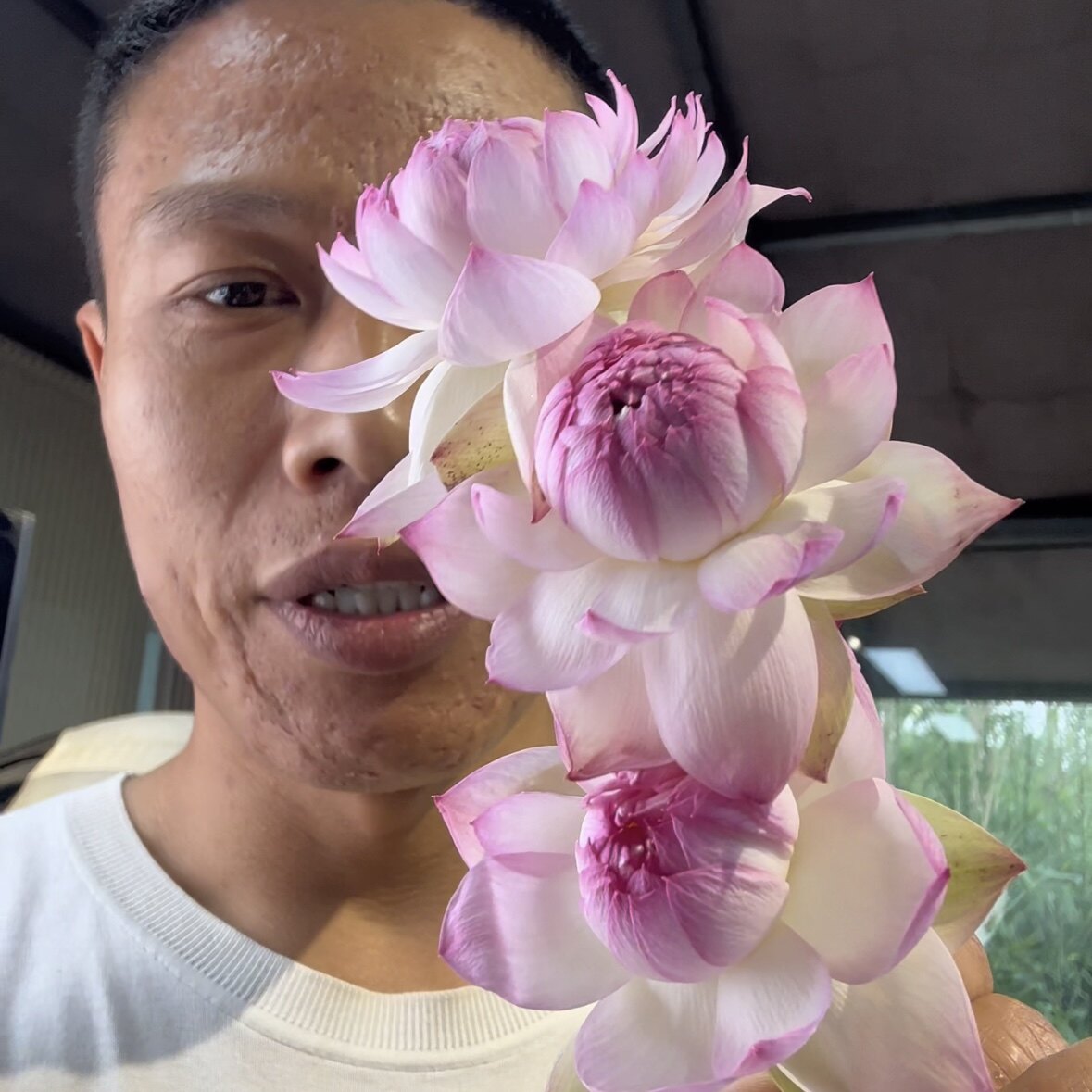 新品种《粉粉嫩嫩重》微型碗莲种藕小苗姜永慧微莲苑易养水培荷花