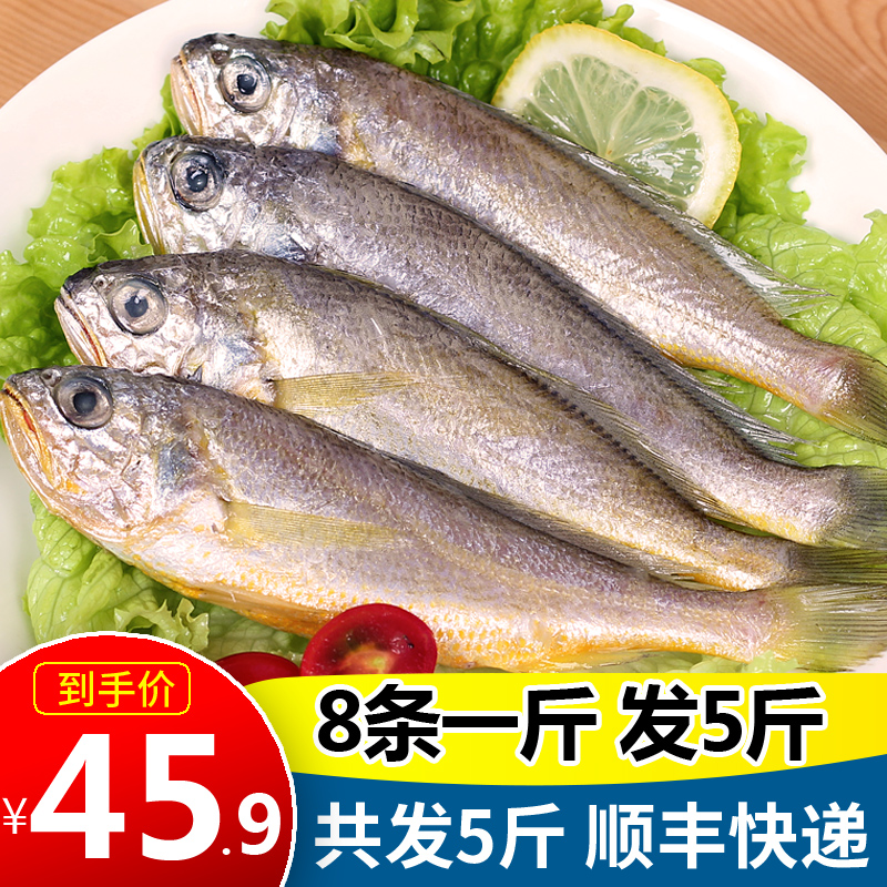 小黄花鱼新鲜冷冻深海大黄鱼鲜活海鱼海鲜水产5斤装冷链发货
