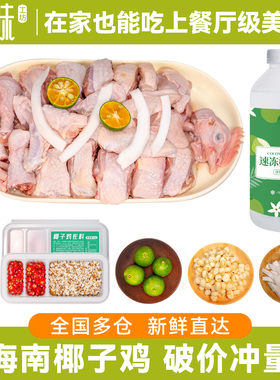 椰子鸡 海南椰子鸡椰子水套餐母鸡汤火锅食材农家散养走地土鸡肉