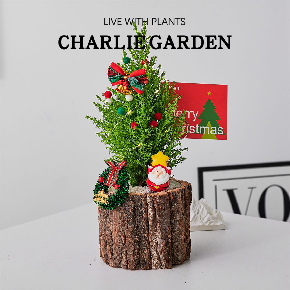 圣诞礼物北欧风室内绿植节日送人