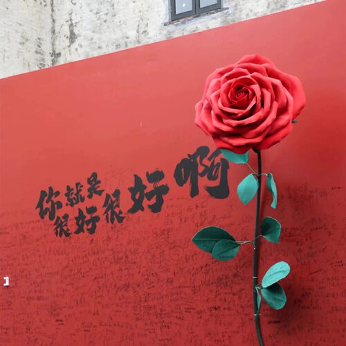 EVA巨型玫瑰仿真花520七夕