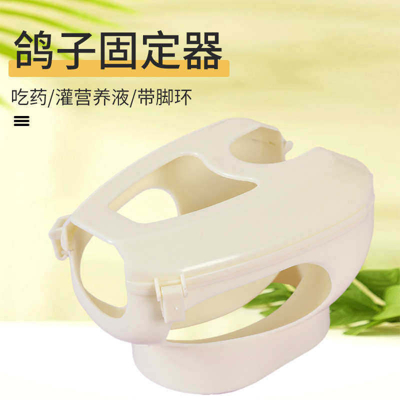 鸽子用品固定架信鸽喂药看鸽眼鸽子固定器信鸽打注射固定架子