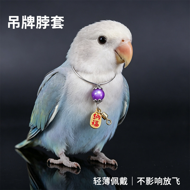 鹦鹉不锈钢项圈防咬脖套放飞绳虎皮玄凤牡丹外出牵引防丢脖套用品