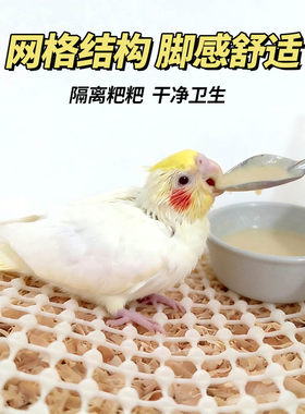 鹦鹉垫网养殖防滑垫虎皮牡丹玄凤幼鸟雏鸟脚垫软乳胶隔粪板育雏网