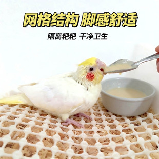鹦鹉垫网养殖防滑垫虎皮牡丹玄凤幼鸟雏鸟脚垫软乳胶隔粪板育雏网