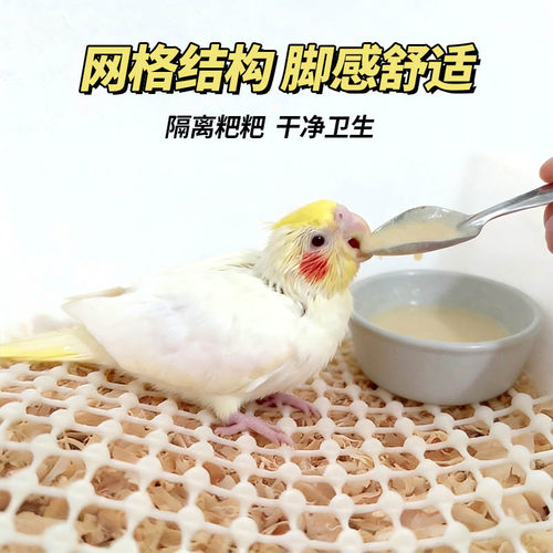鹦鹉垫网养殖防滑垫虎皮牡丹玄凤幼鸟雏鸟脚垫软乳胶隔粪板育雏网