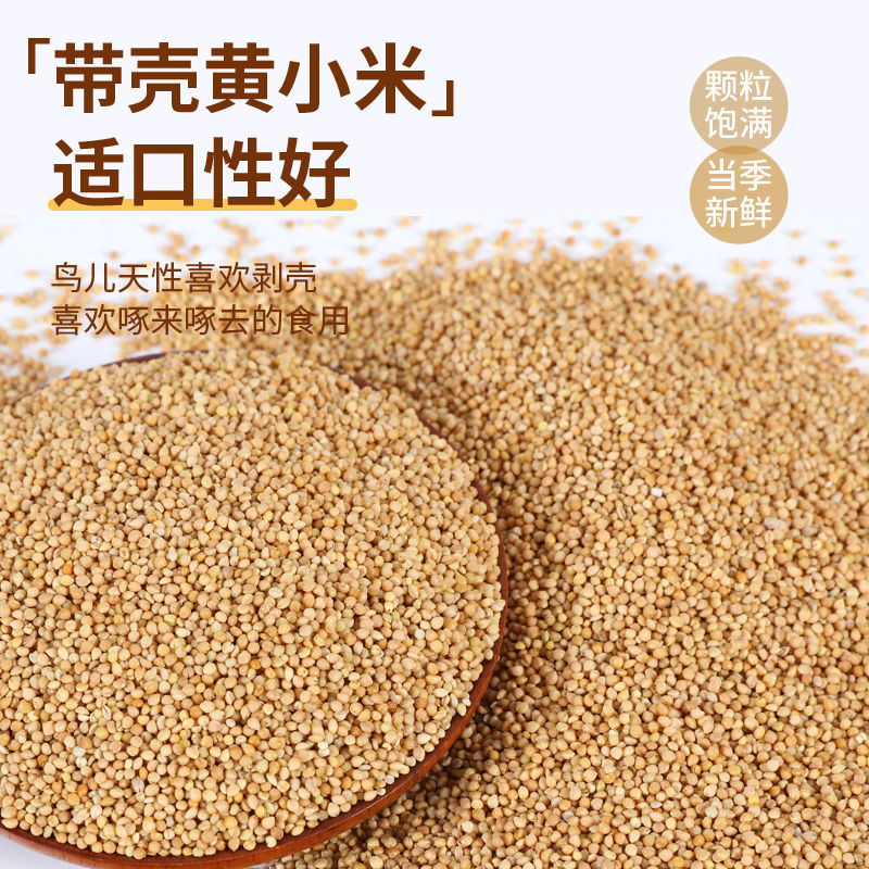 新黄谷子带壳虎皮牡丹玄凤中小型