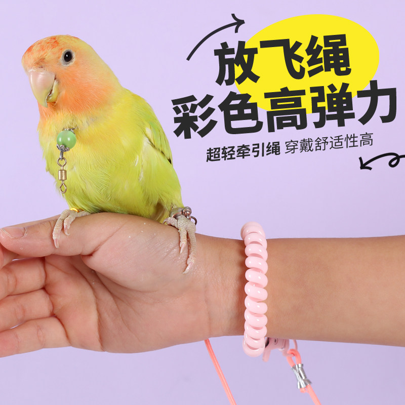 鹦鹉超轻放飞绳合金脚环不伤脚外出牵引绳玄凤虎皮牡丹文鸟喜鹊