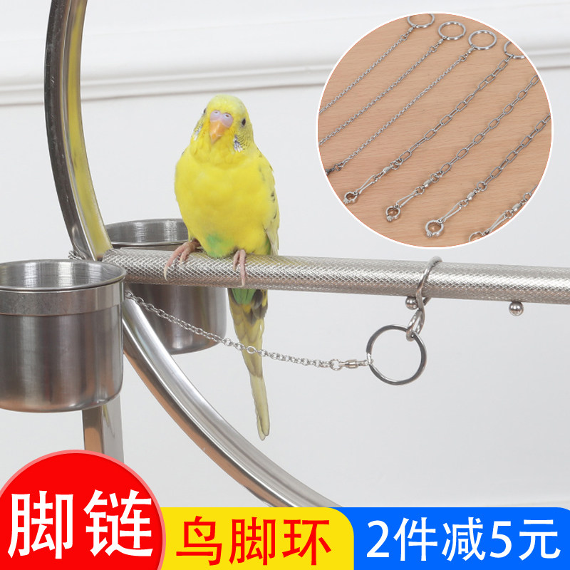 鹦鹉脚链虎皮牡丹开口环合金脚环放飞绳不锈钢焊接鸟脚链