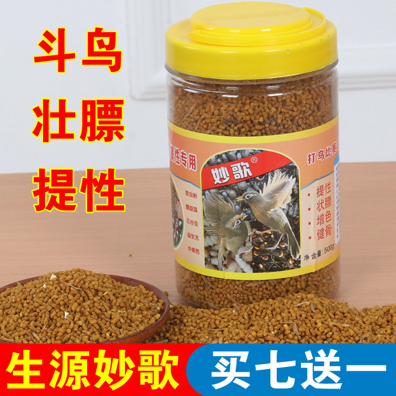 画眉斗鸟贵州生源妙歌鸟食