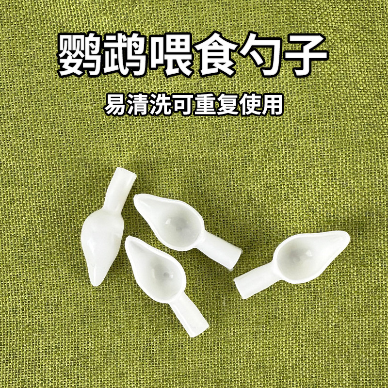 新款鹦鹉喂奶勺组合虎皮玄凤鹦鹉鸟用针管喂食器雏鸟喂奶喂水小勺
