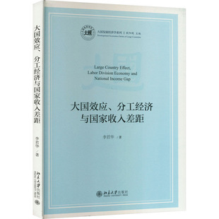 大国效应、分工经济与国家收入差距 李君华 著 经济理论经管、励志 新华书店正版图书籍 北京大学出版社