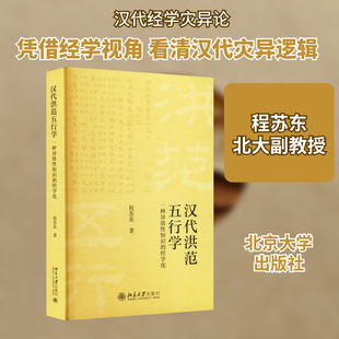 汉代《洪范》五行学 一种异质性知识的经学化 程苏东 著 语言文字社科 新华书店正版图书籍 北京大学出版社