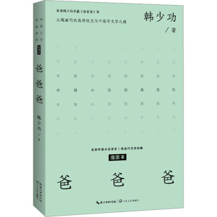 爸爸爸 插图本 韩少功 著 现代/当代文学文学 新华书店正版图书籍 长江文艺出版社