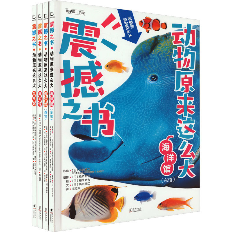 震撼之书·动物原来这么大(第2辑)(全4册) (日)高冈昌江 等 著 王志庚 等 译 (日)柏原晃夫 绘 科普百科少儿 新华书店正版图书籍