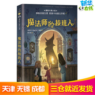 魔法师的接班人 (新西兰)玛格丽特·梅喜 著 郭红梅 译 儿童文学少儿 新华书店正版图书籍 新蕾出版社
