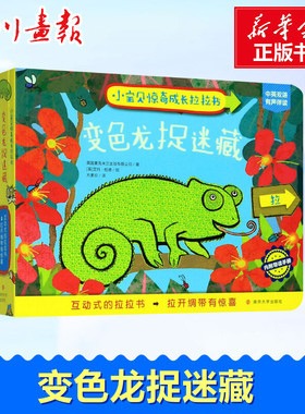 变色龙捉迷藏 英国麦克米兰出版有限公司(Macmillan Publishers Ltd) 著 方素珍 译 (英)艾玛·杜德(Emma Dodd) 绘