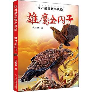 沈石溪动物小说绘 雄鹰金闪子 沈石溪 著 幼儿早教/少儿英语/数学少儿 新华书店正版图书籍 团中央中国少年儿童新闻出版总社