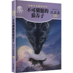 不可驯服的狼养子 沈石溪 选评 儿童文学少儿 新华书店正版图书籍 明天出版社