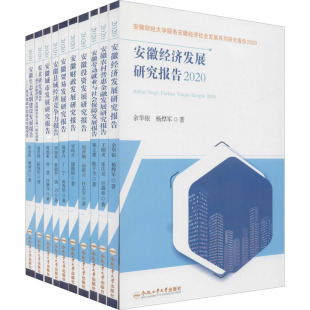 杨烨军 丁宁 经济理论经管 安徽财经大学服务安徽经济社会发展系列研究报告 等 全10册 2020 余华银 著 励志