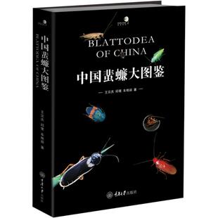 中国蜚蠊大图鉴 王宗庆,邱鹭,车艳丽 著 著 科普读物其它专业科技 新华书店正版图书籍 重庆大学出版社