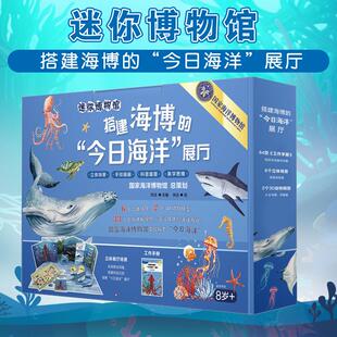 迷你博物馆 搭建海博的