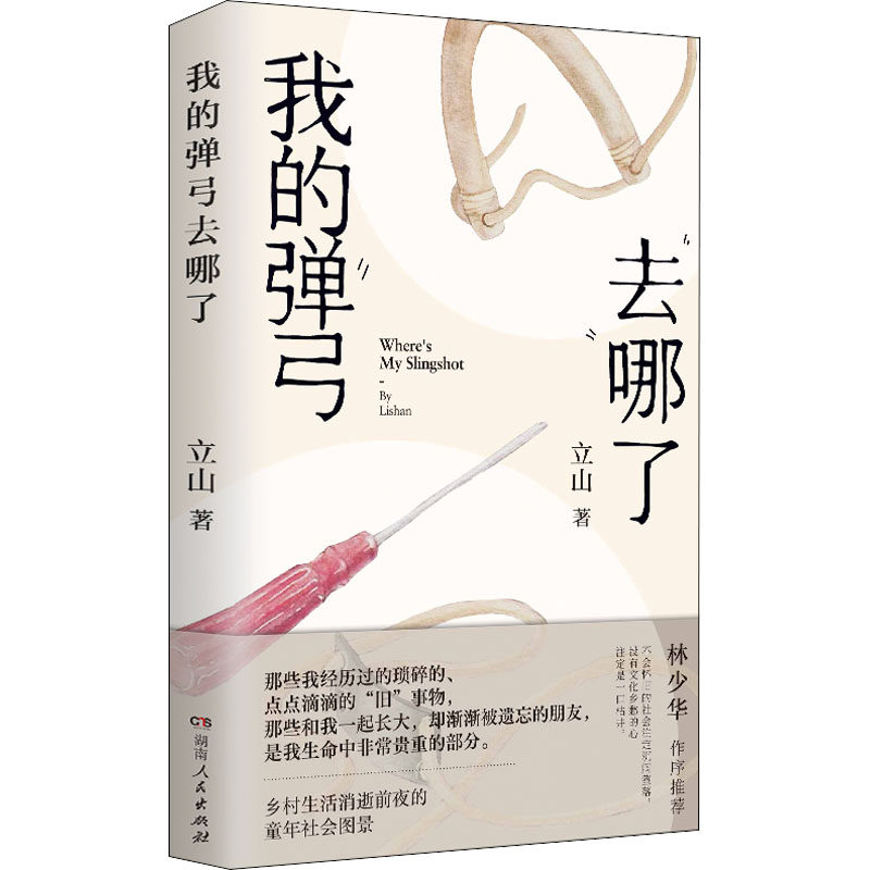 我的弹弓去哪了 立山 著 现代/当代文学文学 新华书店正版图书籍 湖南人民出版社