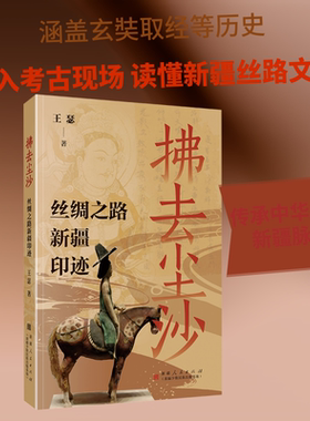 拂去尘沙：丝绸之路新疆印迹 王瑟 著 著 计算机软件工程（新）社科 新华书店正版图书籍 新疆人民出版社(新疆少数民族出版基地)