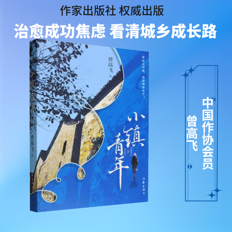 小镇青年/曾高飞 曾高飞 著 著 现代/当代文学文学 新华书店正版图书籍 作家出版社
