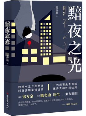 黯夜之光 娄霄鹏 著 侦探推理/恐怖惊悚小说文学 新华书店正版图书籍 中国工人出版社