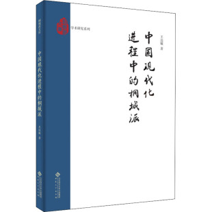 著 外国哲学经管 安徽大学出版 桐城派 社 图书籍 王达敏 新华书店正版 中国现代化进程中 励志
