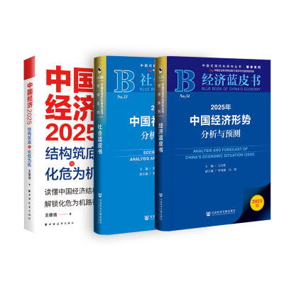2025年中国经济形势分析与预测+2025年中国社会形势分析与预测+中国经济.2025:结构筑底 王昌林;李海舰,冯明 编等