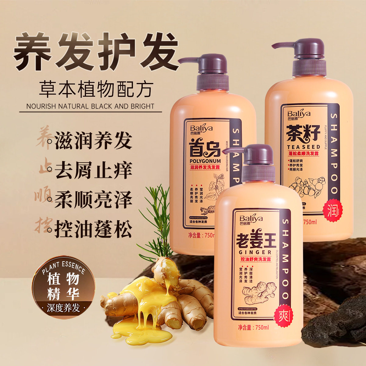两瓶装】芭丽雅老姜王控油清爽洗发水茶籽蓬松柔顺洗发露750ml
