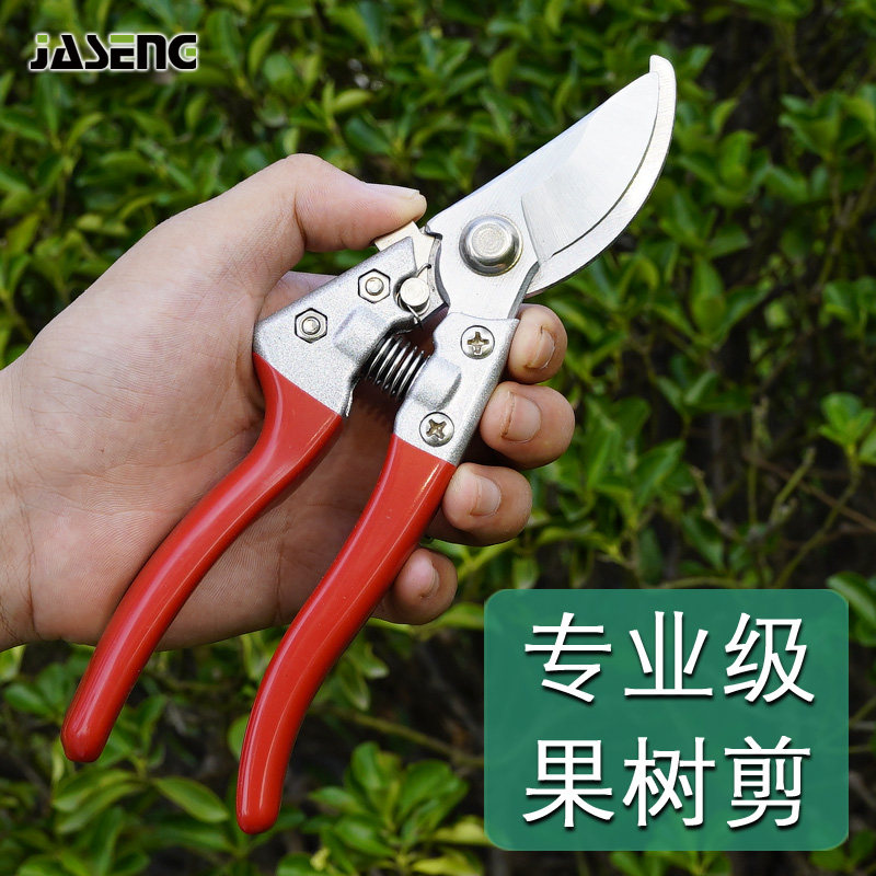 佳盛果树修枝剪剪刀园艺剪刀家用树枝剪子工具修花剪刀园林粗枝剪