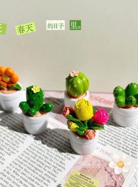 太阳花郁金香微景观造景diy材料