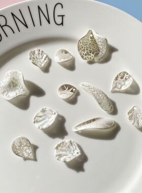 创意白色磨砂裂纹树叶贝壳饰品 手机壳奶油胶diy滴胶材料耳环配件