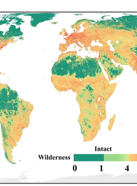 全球NDVI/NPP/LAI 全球栅格TIF全球因子获取