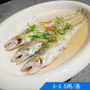 2026启东海鲜特产海刀鱼 冰新鲜刀鱼3-3.5/条500克3条当天捕捞