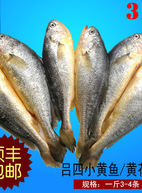 启东特产吕四海鲜 东海新鲜野生小黄鱼500g 冰鲜黄花鱼3斤包邮