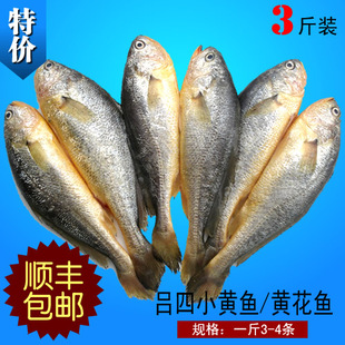 启东特产吕四海鲜 东海新鲜野生小黄鱼500g 冰鲜黄花鱼3斤包邮