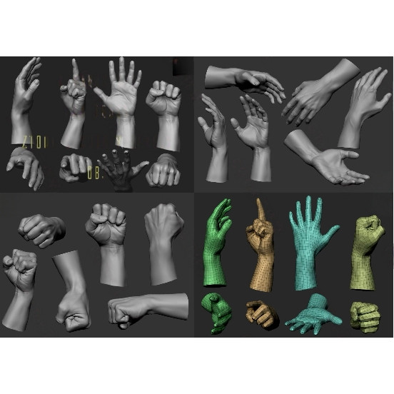 zbrush 4组写实精细男性手部手势Blender握拳姿势3d模型zb雕刻OBJ图片