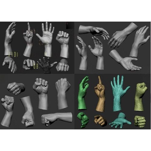 zbrush 4组写实精细男性手部手势Blender握拳姿势3d模型zb雕刻OBJ