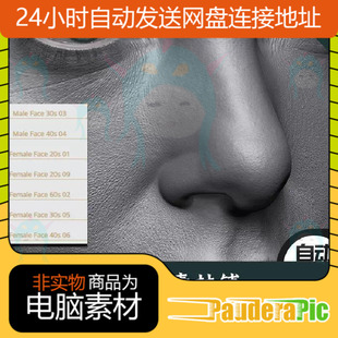XYZ 脸部皮肤 ZBrush笔刷 面部ZB笔刷 Displacement 毛孔