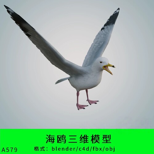海鸥三维模型3d素材blender/c4d/fbx/obj写实动物鸟类