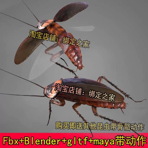 maya蟑螂模型3dmax次世代昆虫blender fbx带骨骼动作爬行飞行c4d