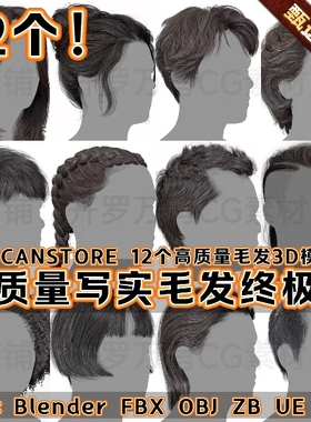 3DScanStore高质量写实角色毛发男女插片头发卡3D模型Blender FBX