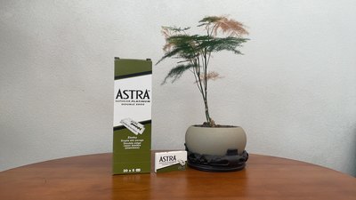 俄罗斯绿A剃须刀片刀片ASTRA湿剃