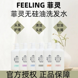 正品菲灵海草保湿银杏建发茶树去屑止痒控油清洁发道洗发水护发素