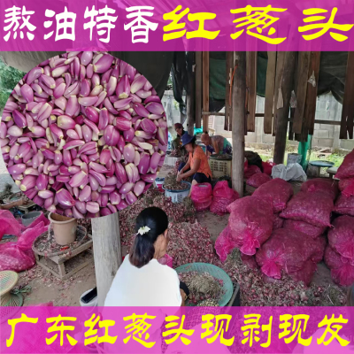 去皮红葱头剥皮新鲜去皮商用特香新鲜真空红头葱餐饮食用熬油料