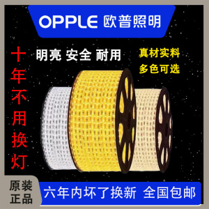 欧普LED灯带家用天花三色变光客厅吊顶双排超亮户外室内220V